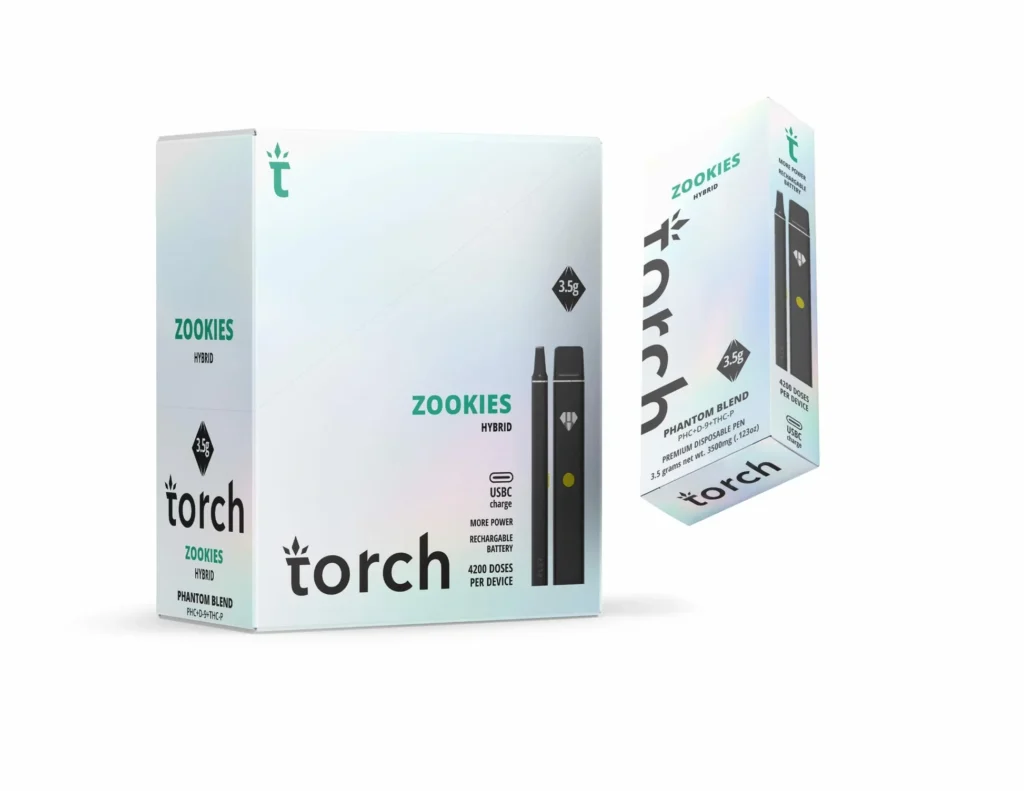 torch disposable