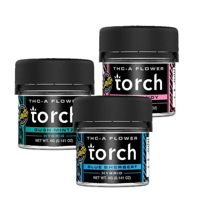 torch disposable